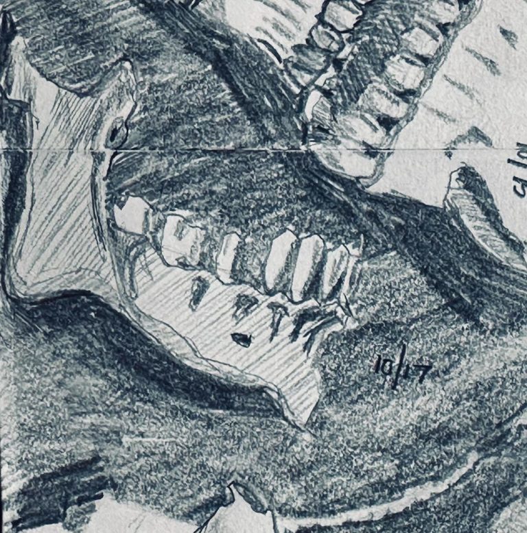 Read more about the article Day 777.