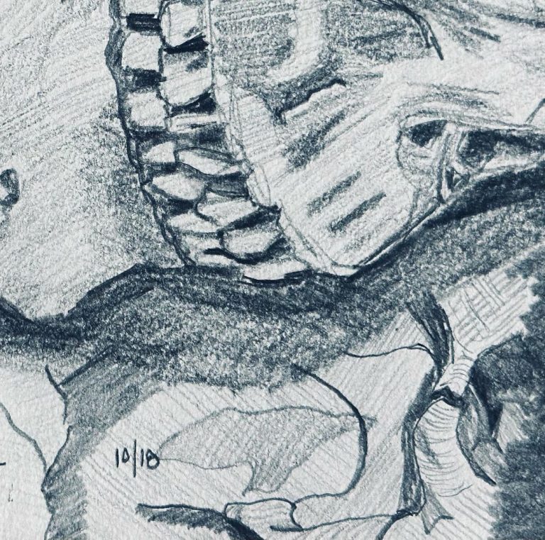 Read more about the article Day 778.