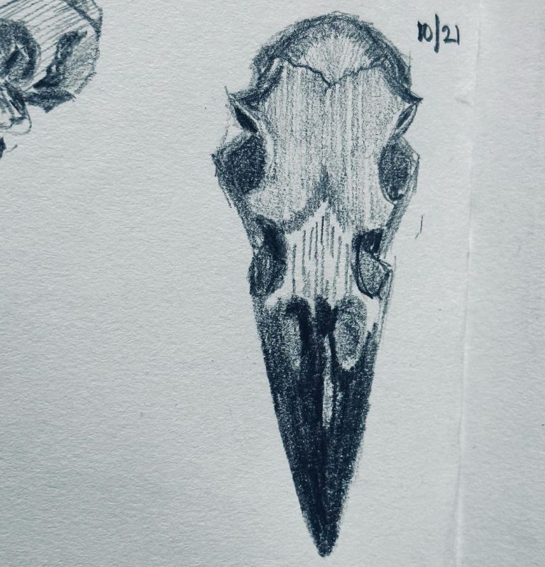 Read more about the article Day 781.