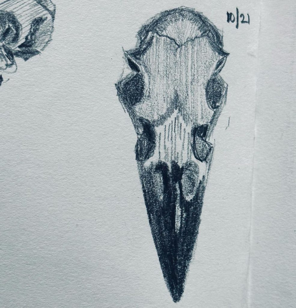 Read more about the article Day 781.