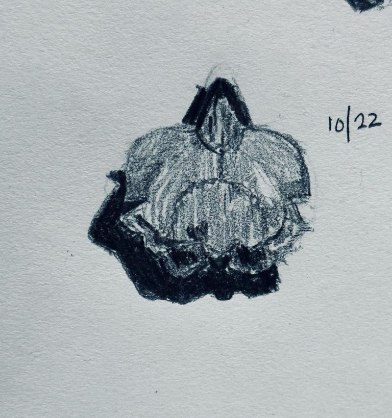 Read more about the article Day 782.