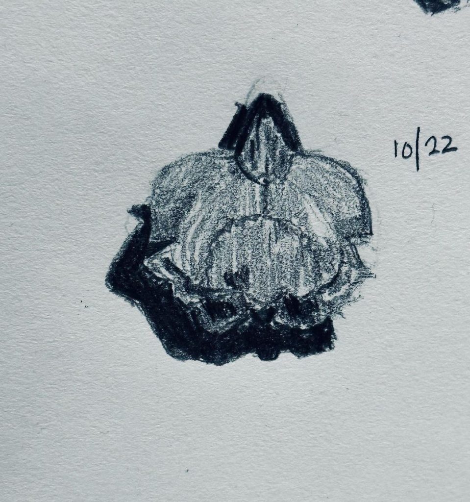 Read more about the article Day 782.