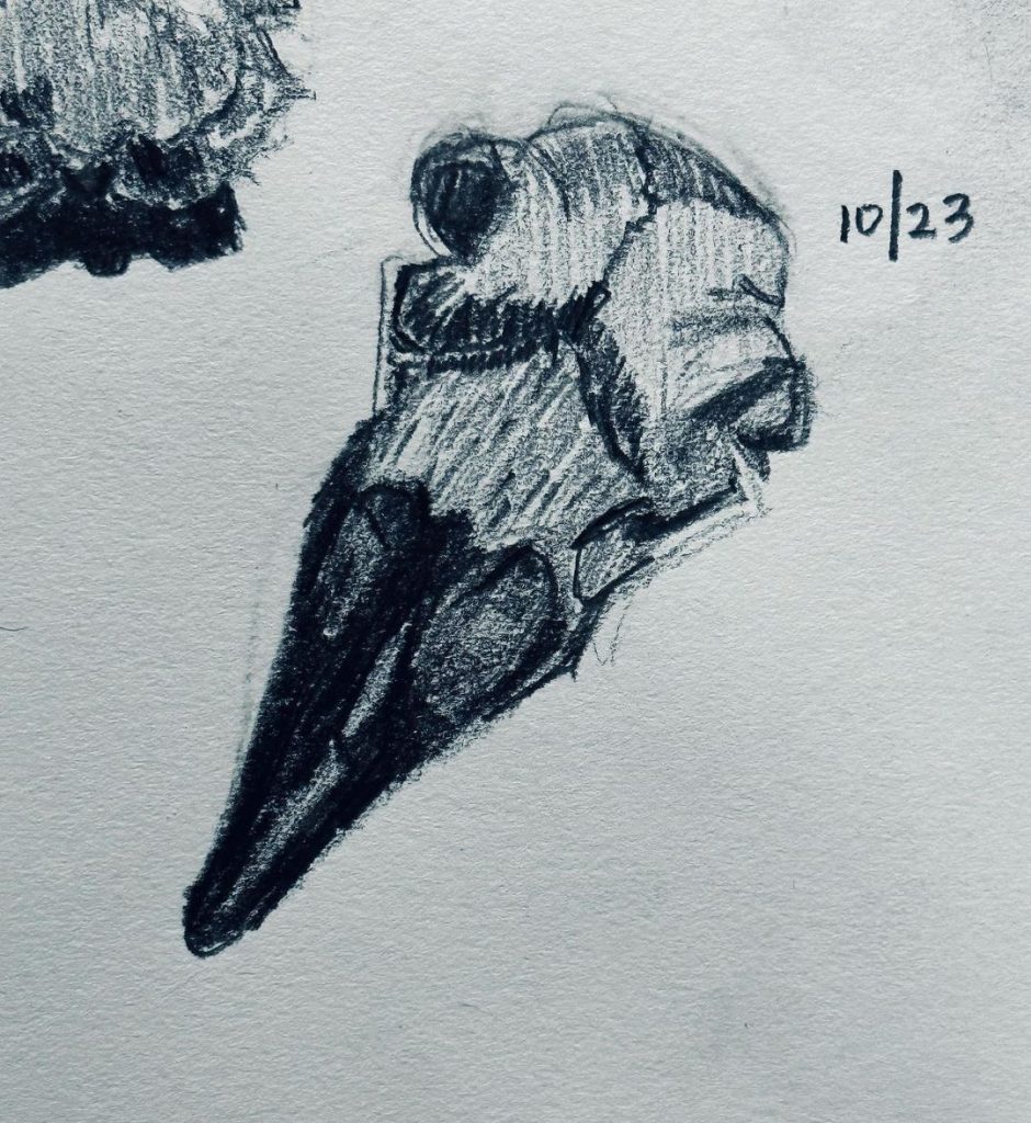 Read more about the article Day 783.