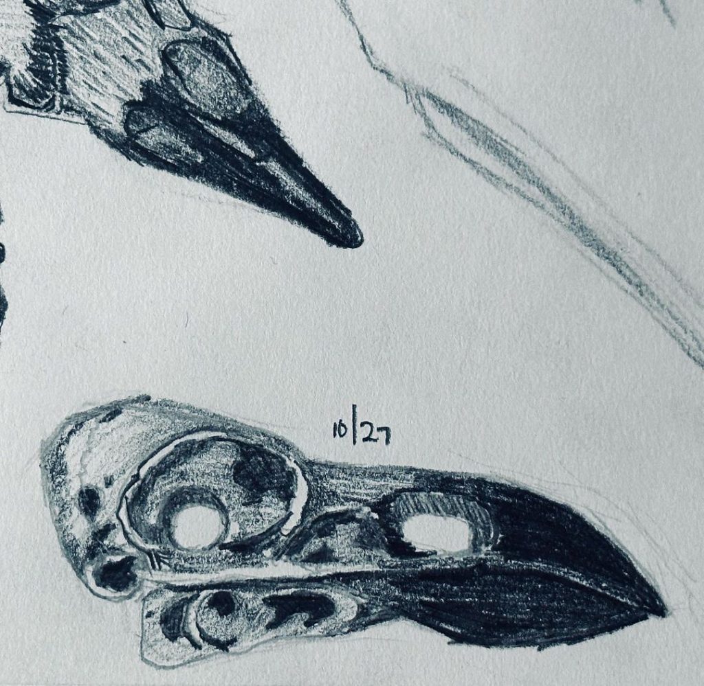 Read more about the article Day 787.