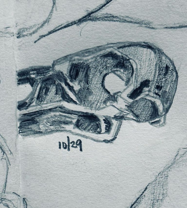 Read more about the article Day 789.