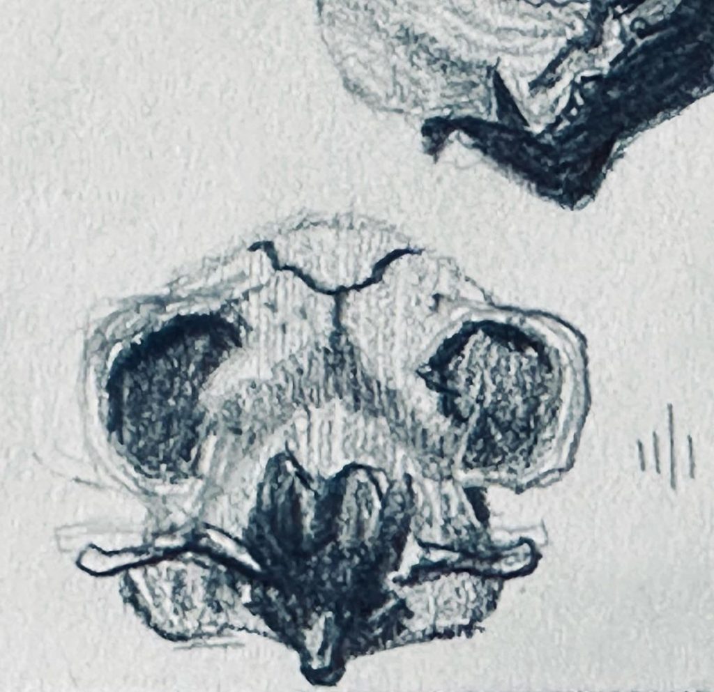 Read more about the article Day 792.