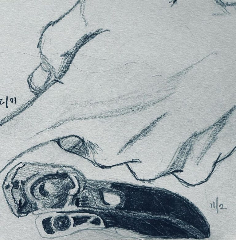 Read more about the article Day 793.