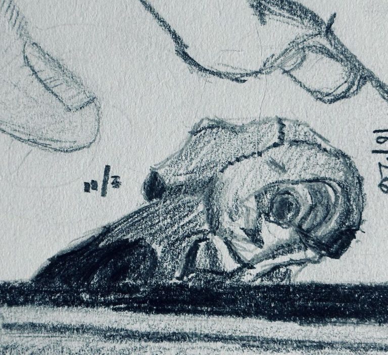 Read more about the article Day 794.