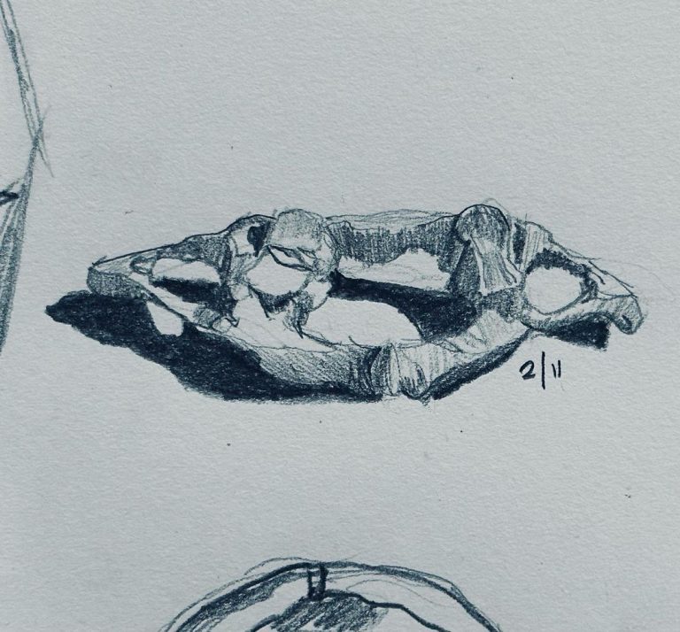 Read more about the article Day 894.