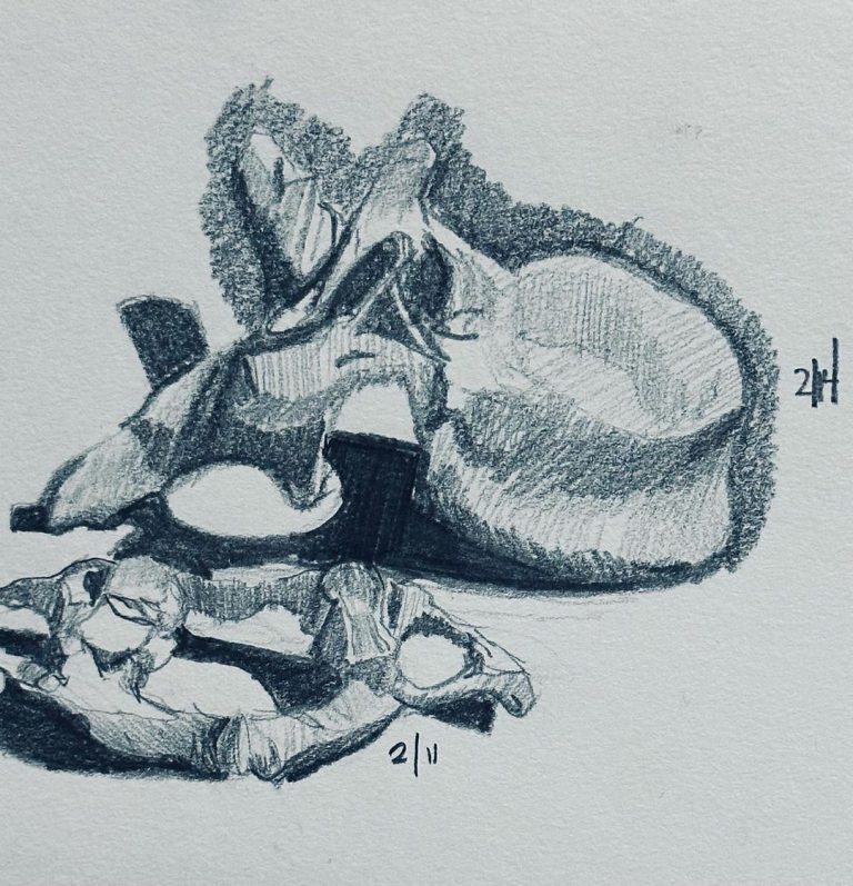 Read more about the article Day 897.