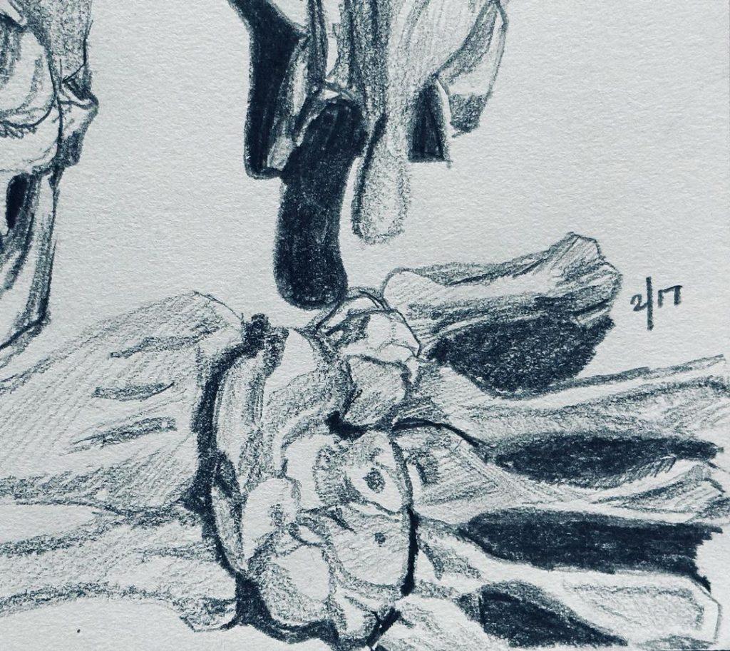 Read more about the article Day 900. Wait. What?!?