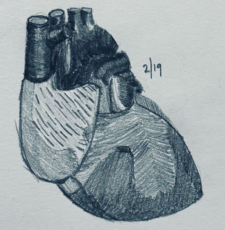 Read more about the article Day 902.