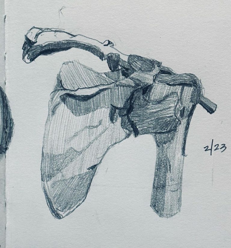 Read more about the article Day 906.