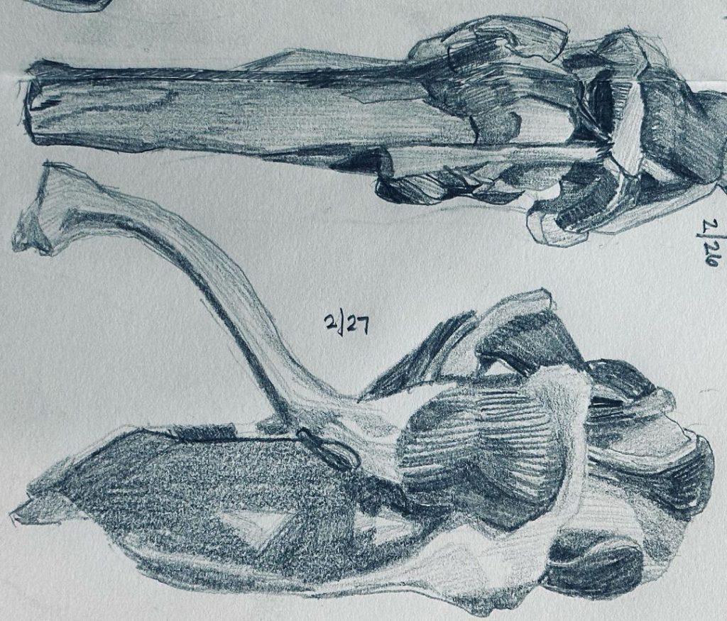 Read more about the article Day 910.