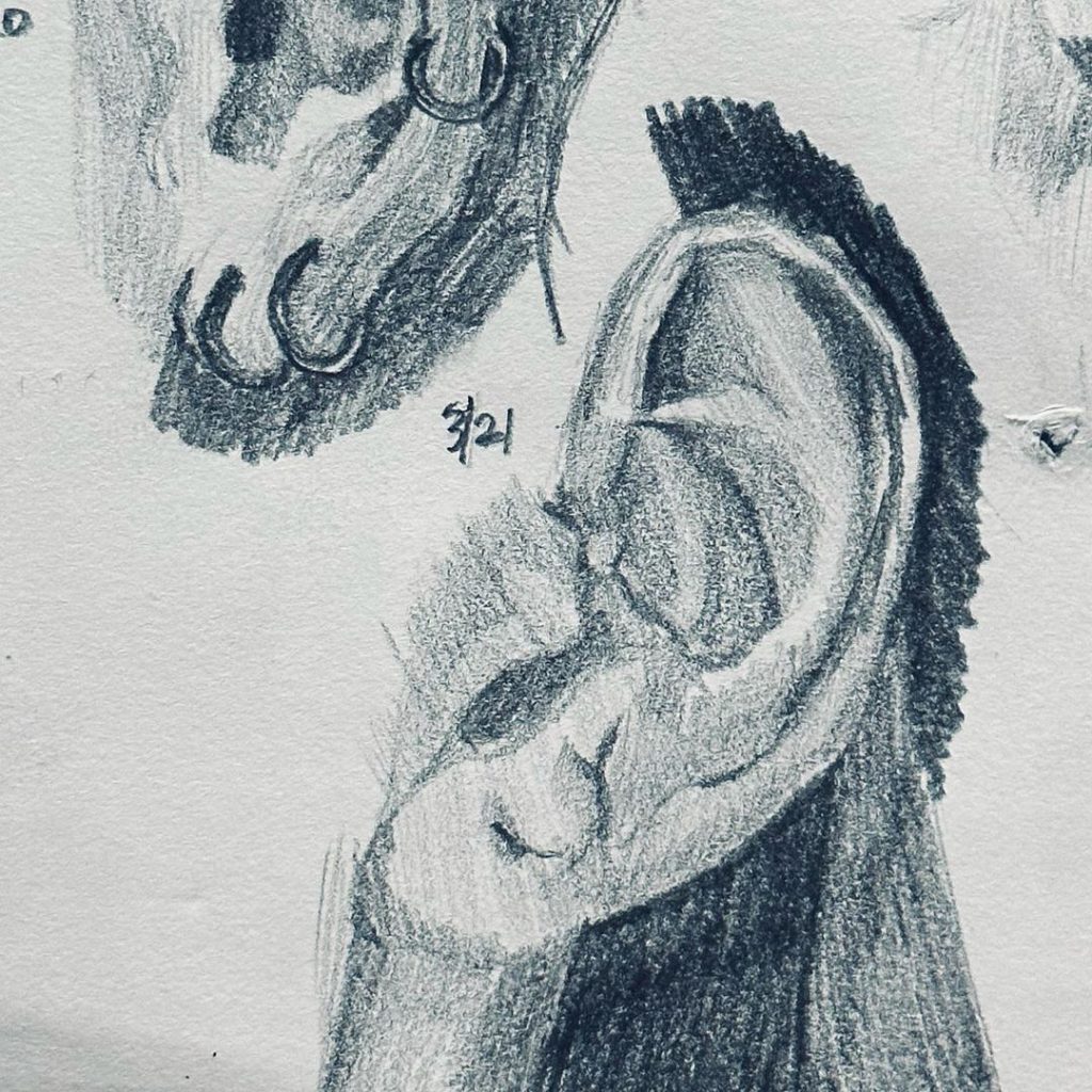 Read more about the article Day 932.