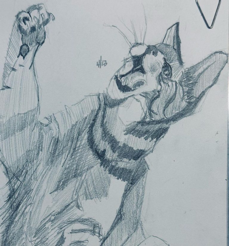 Read more about the article Day 955. After @furryfritz, an amazing catographer.