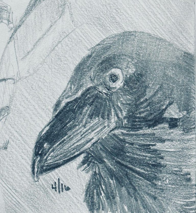 Read more about the article Day 958. (After @little_raven_aus; congrats on the new job!)