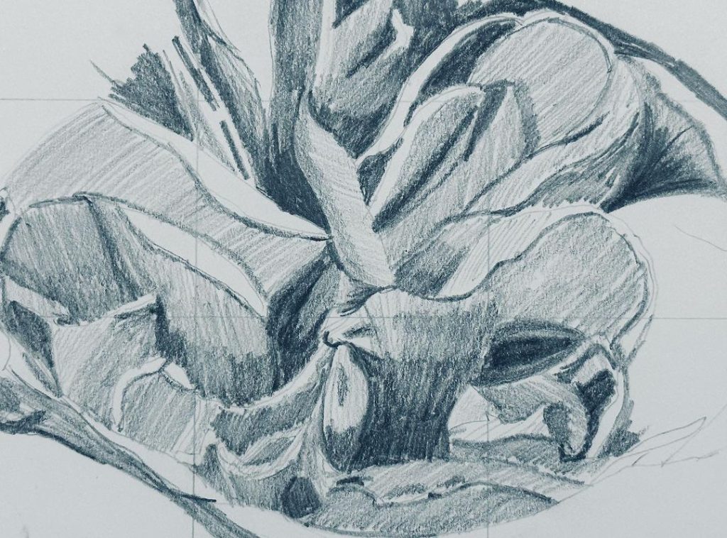 Read more about the article Day 995. I remain amazed at the difference between days. 24 hours ago, i nailed*