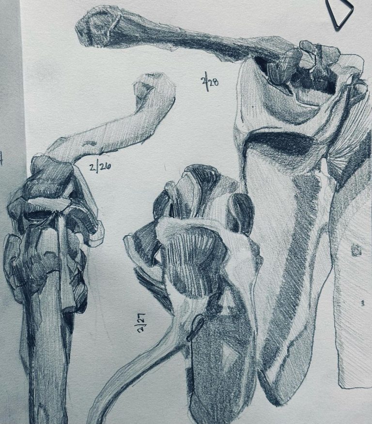 Read more about the article Day Porsche 911.  Well, probably not Porsche.