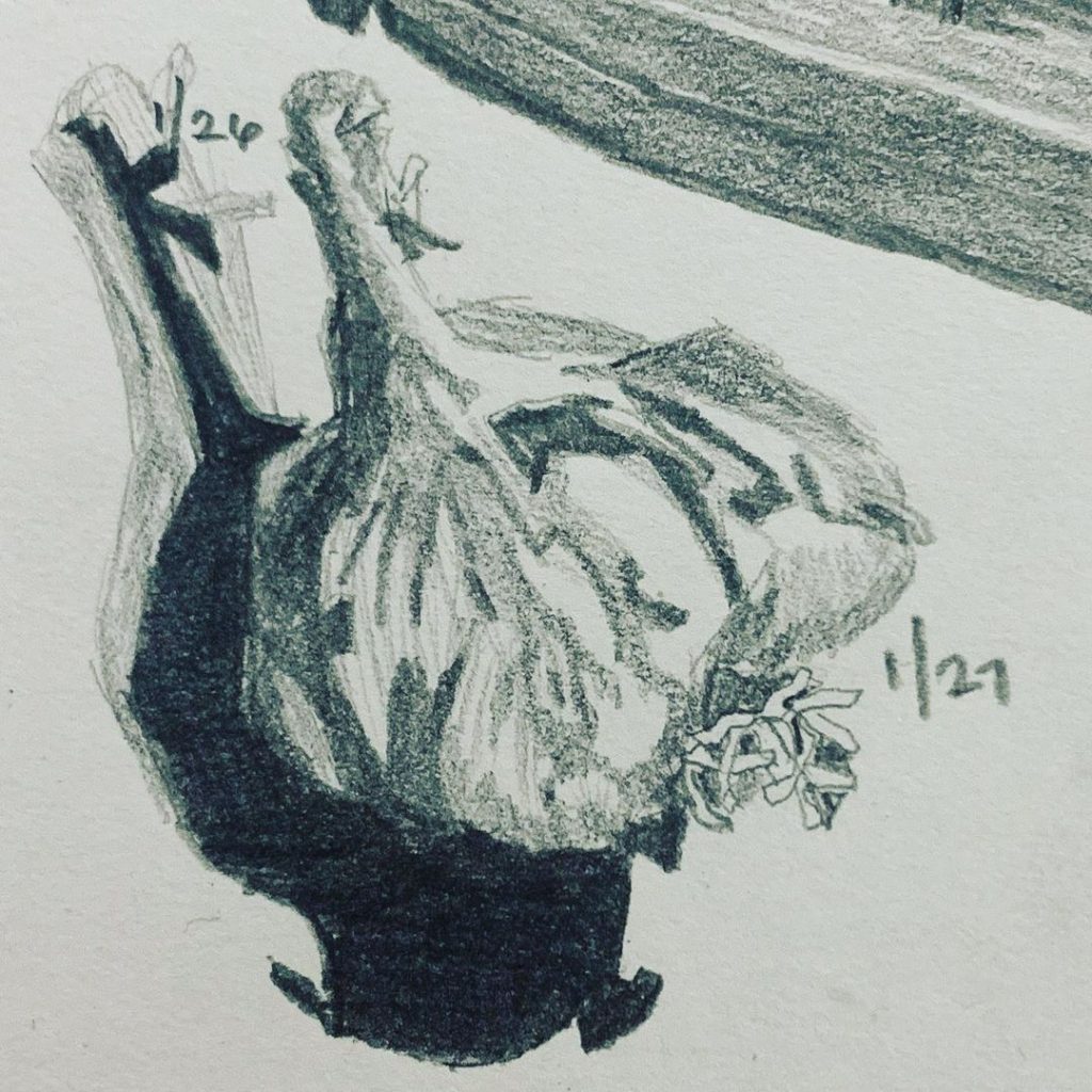 Read more about the article Strada Day 27.  Consecutive Day 514.