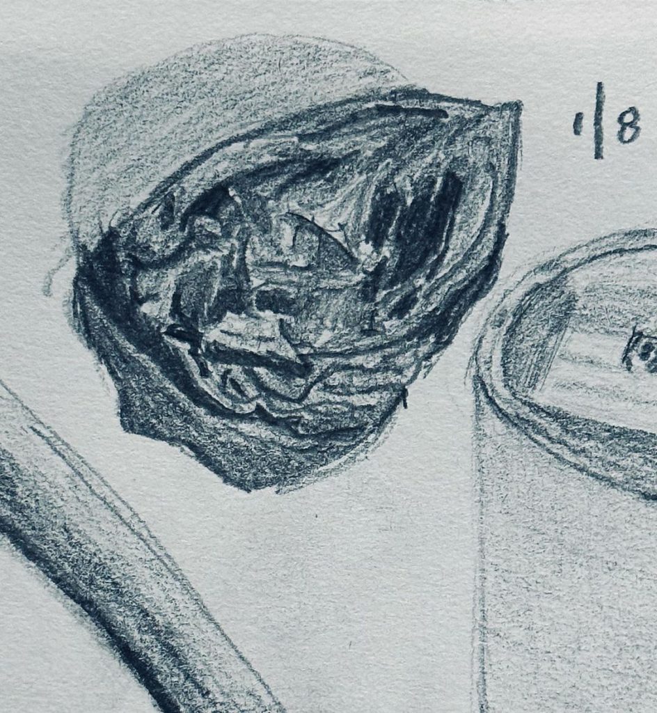 Read more about the article Strada Day 8; Consecutive Day 860.  Walnut shell from the walk.