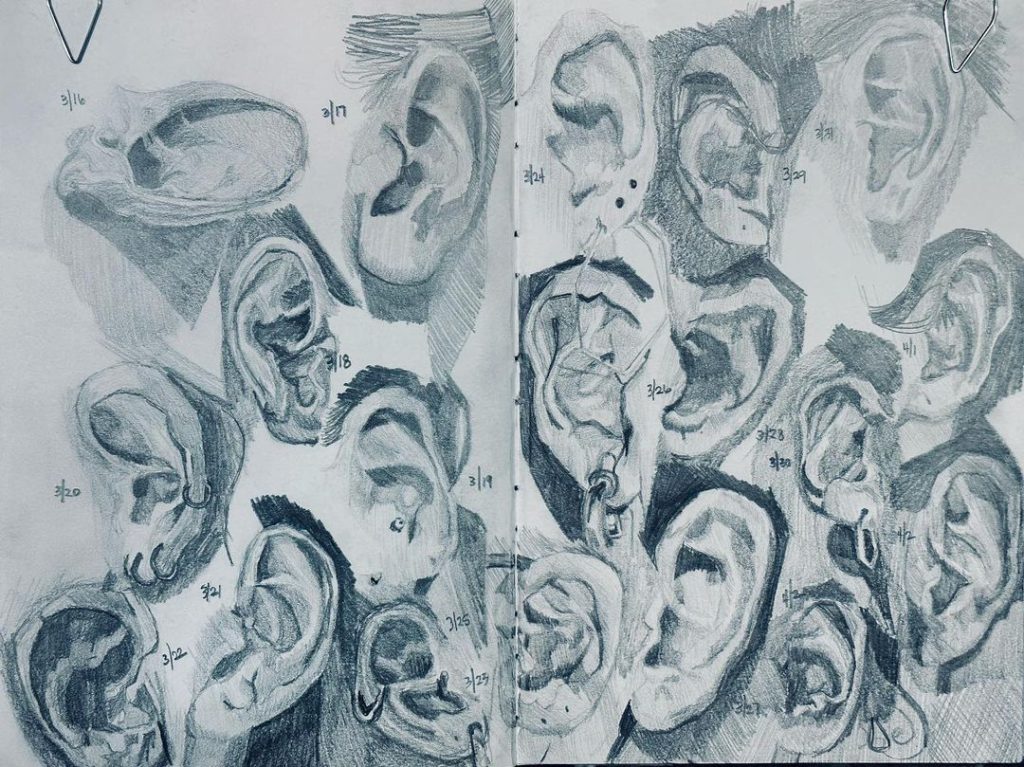 Read more about the article The ears of Instagram. 18 days of graphite.