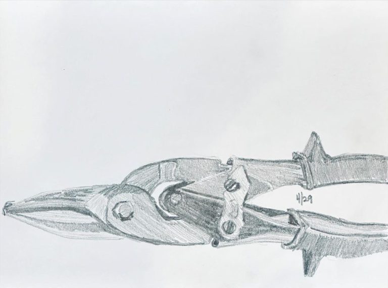 Read more about the article Day 1,337.