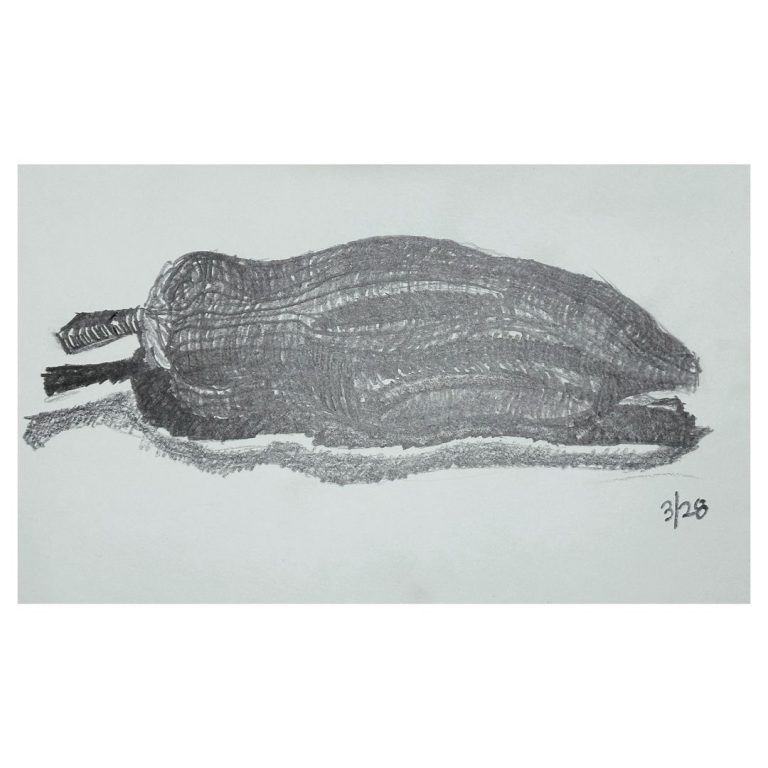 Read more about the article Day 1,305.