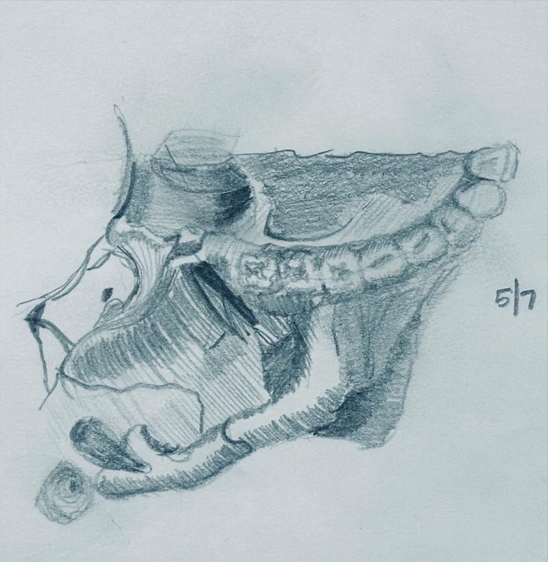 Read more about the article Day 1,345.