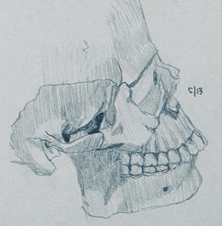 Read more about the article Day 1,351.