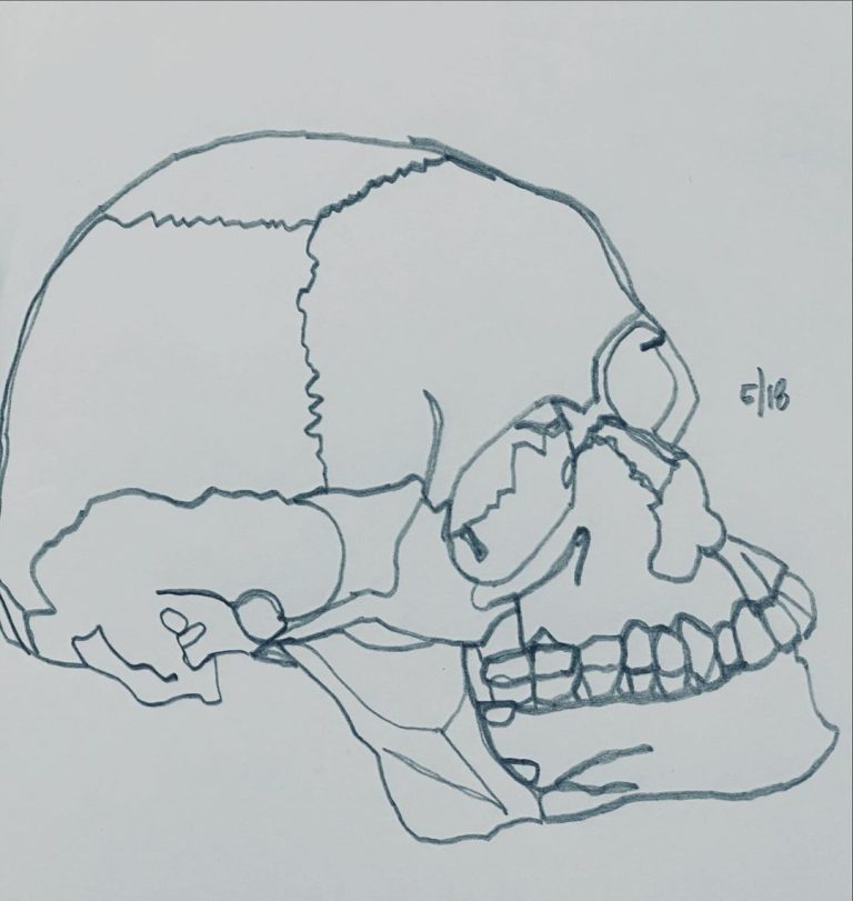 Read more about the article Day 1,356; a continuous line study back in skull territory.