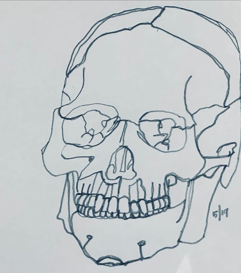 Read more about the article Day 1,357 continuous line skull.