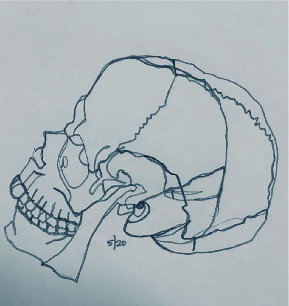 Read more about the article Day 1,358, continuous line drawing.