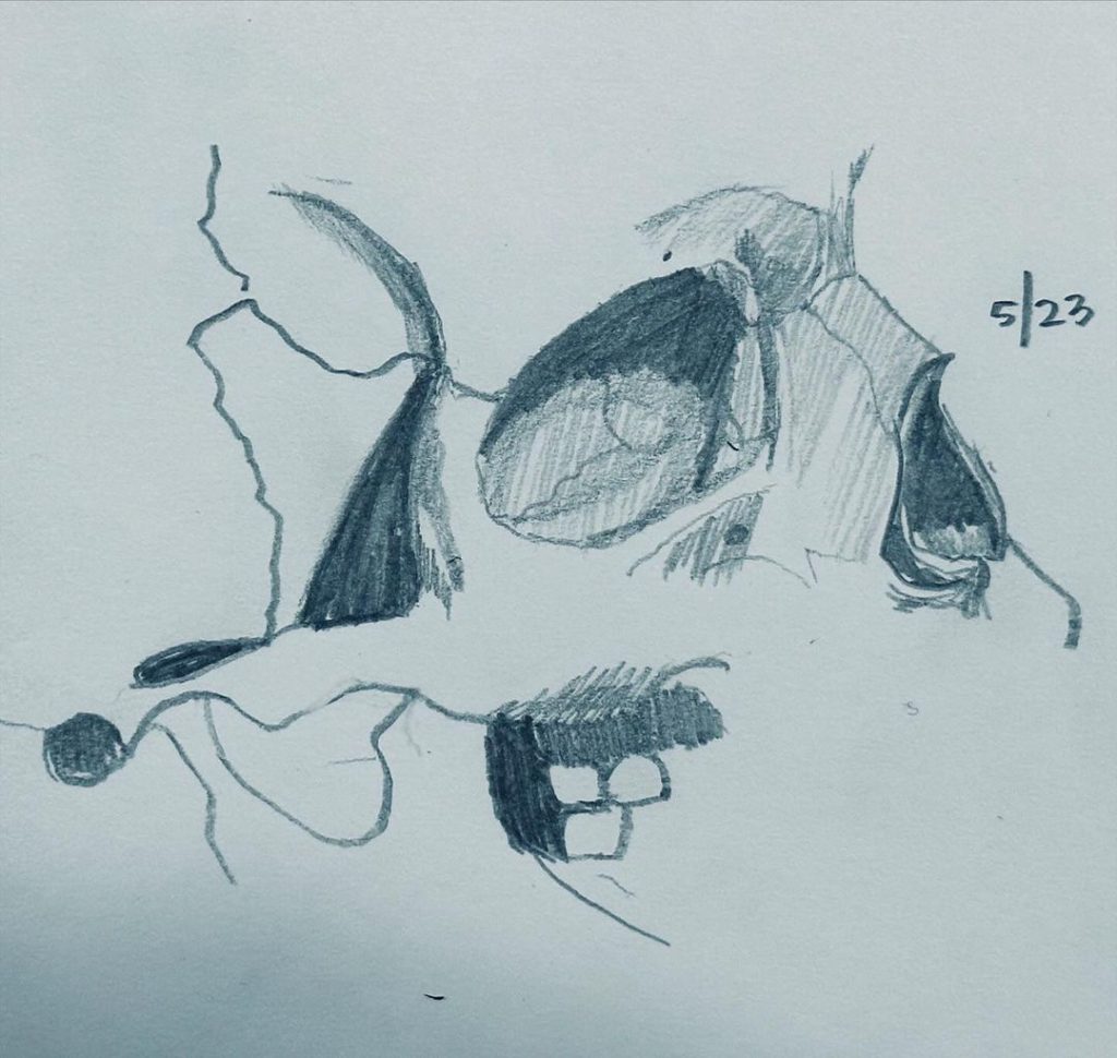 Read more about the article Day 1,361.