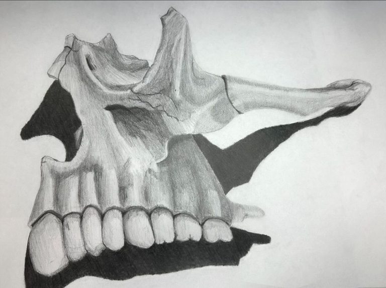 Read more about the article Multi day study, 11â€ x 15â€, ish.