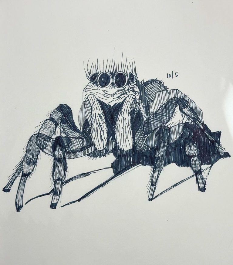 Read more about the article Day 1,496. 

@retrosupply