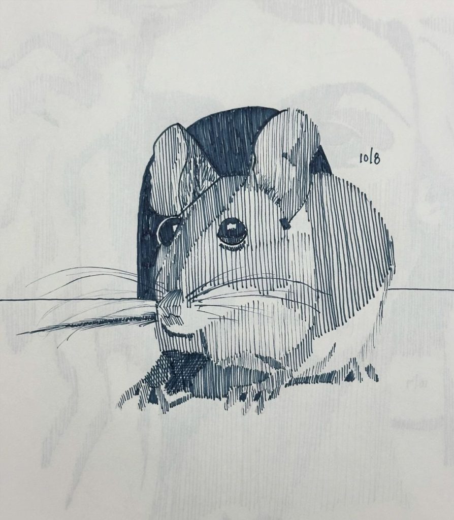 Read more about the article Day 1,499. 

@retrosupply